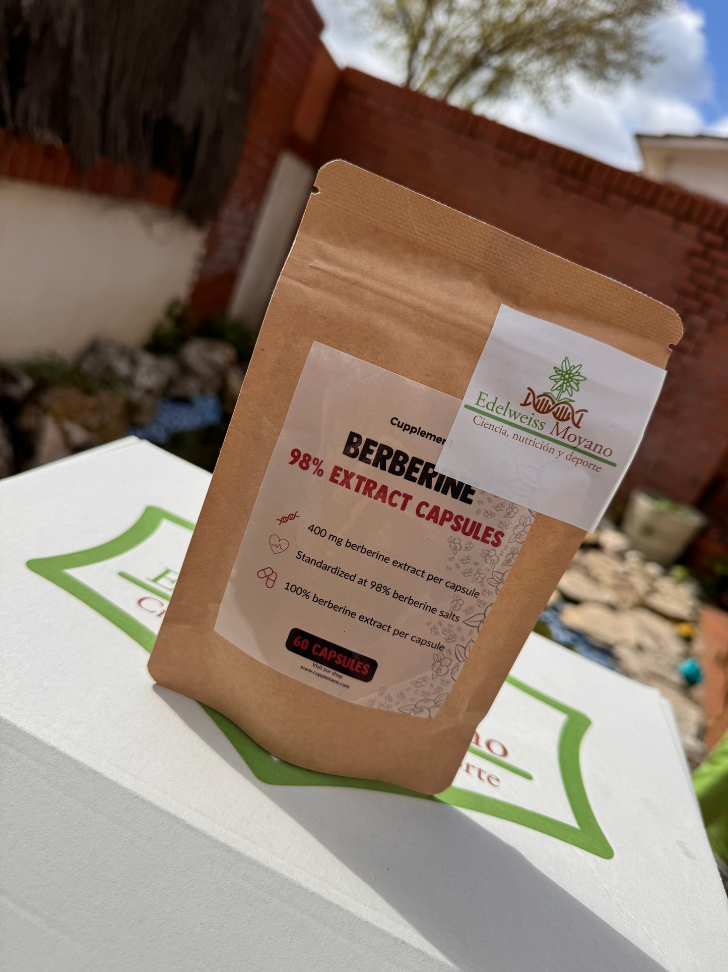 Berberina Protocolo Antibacteriano